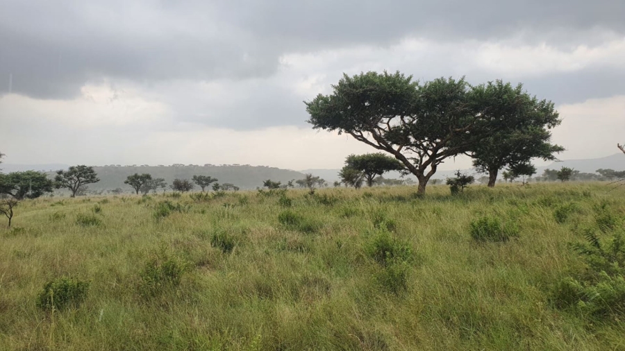 8 Bedroom Property for Sale in Dundee KwaZulu-Natal