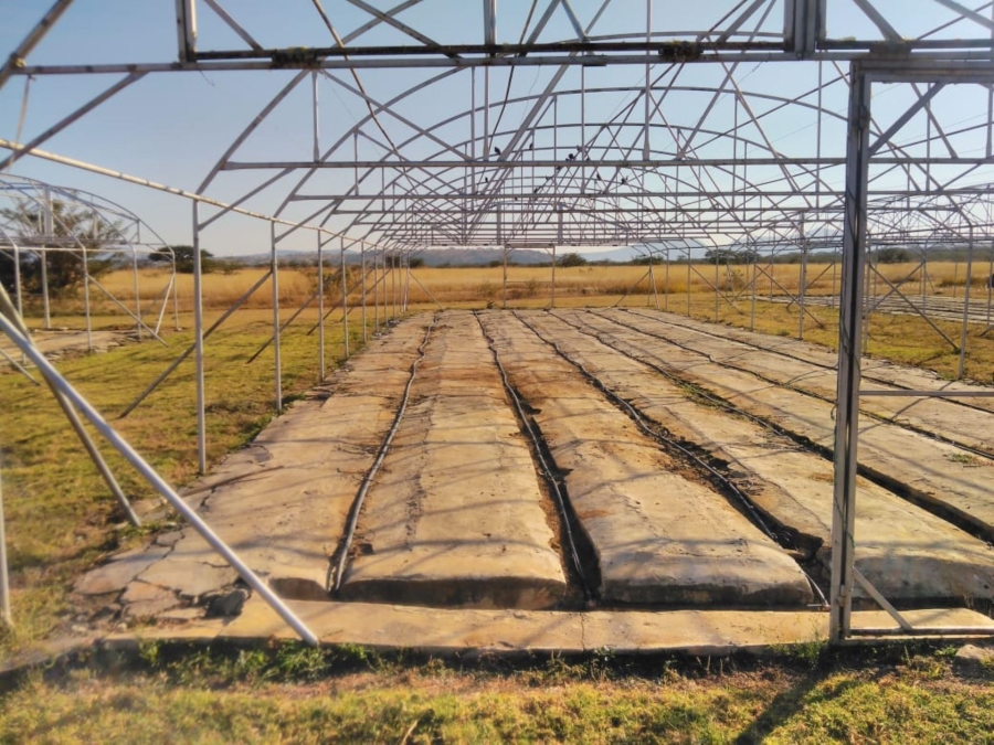 8 Bedroom Property for Sale in Dundee KwaZulu-Natal