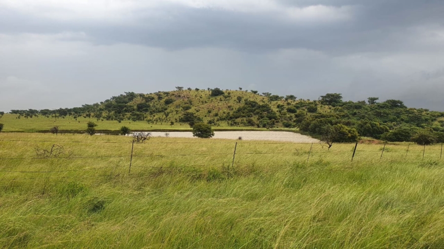 8 Bedroom Property for Sale in Dundee KwaZulu-Natal