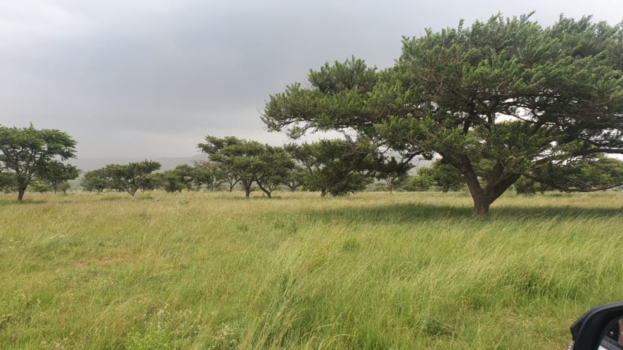 8 Bedroom Property for Sale in Dundee KwaZulu-Natal