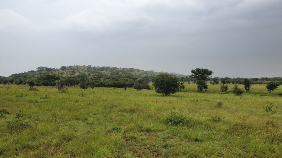 8 Bedroom Property for Sale in Dundee KwaZulu-Natal