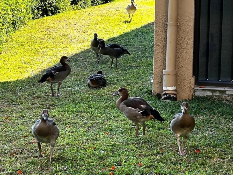 4 Bedroom Property for Sale in St Michaels On Sea KwaZulu-Natal