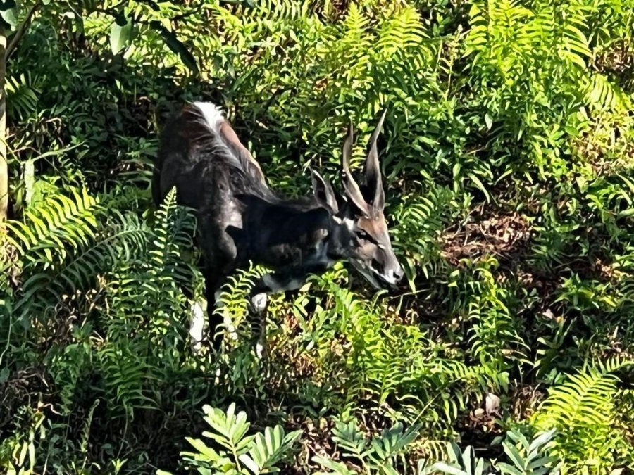 4 Bedroom Property for Sale in St Michaels On Sea KwaZulu-Natal