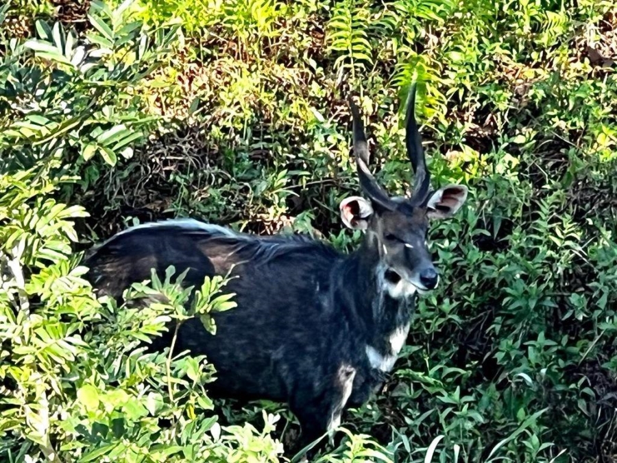 4 Bedroom Property for Sale in St Michaels On Sea KwaZulu-Natal