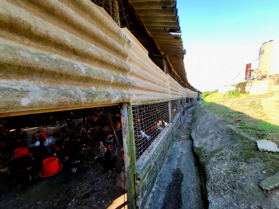 Commercial Property for Sale in Ramsgate KwaZulu-Natal