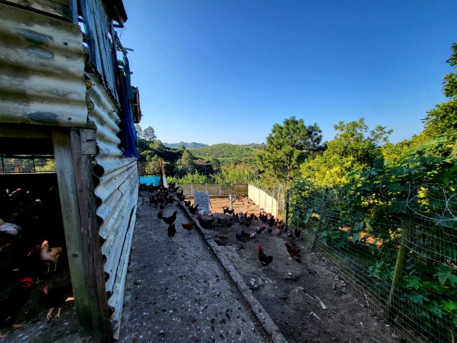 Commercial Property for Sale in Ramsgate KwaZulu-Natal