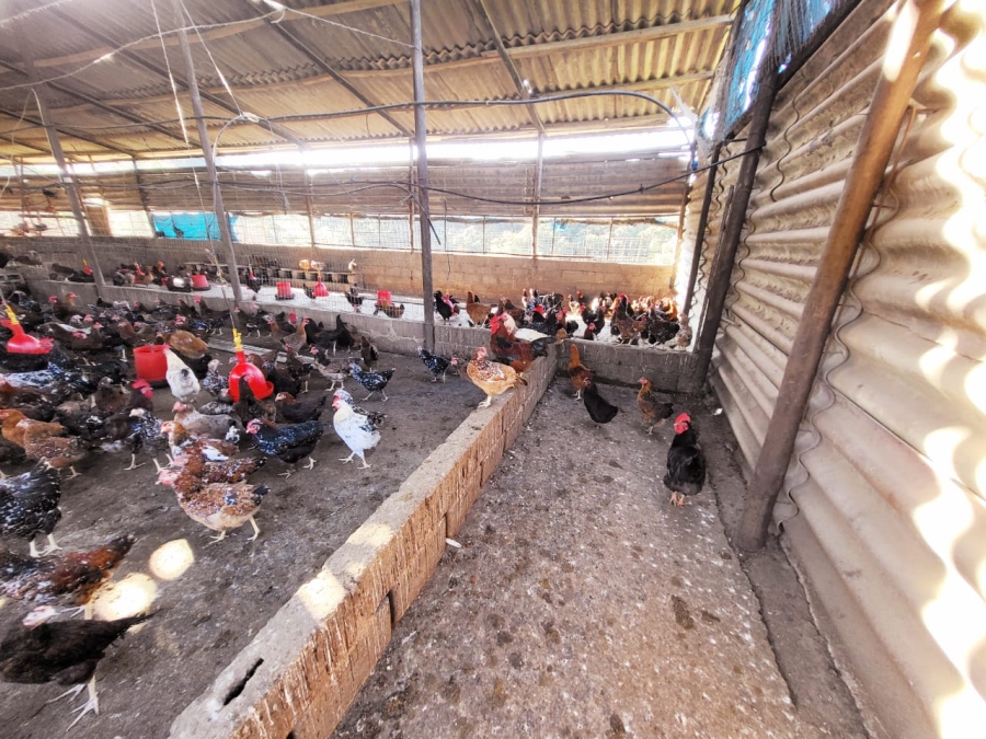 Commercial Property for Sale in Ramsgate KwaZulu-Natal