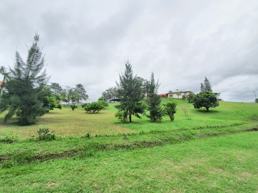 Commercial Property for Sale in Izotsha KwaZulu-Natal