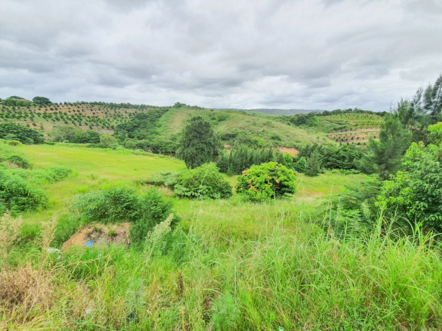 Commercial Property for Sale in Izotsha KwaZulu-Natal