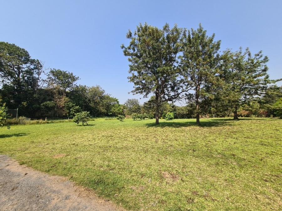 Commercial Property for Sale in Margate KwaZulu-Natal
