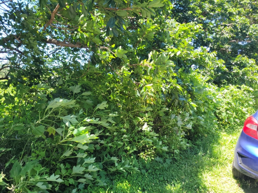 Commercial Property for Sale in Hibberdene KwaZulu-Natal