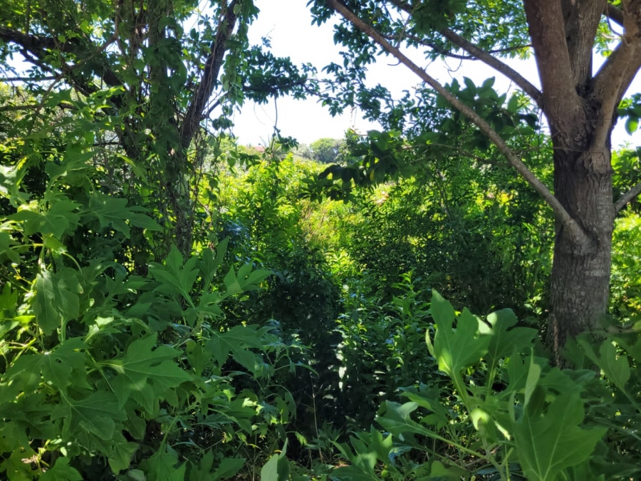 Commercial Property for Sale in Hibberdene KwaZulu-Natal