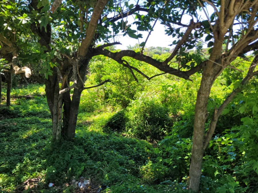 Commercial Property for Sale in Hibberdene KwaZulu-Natal