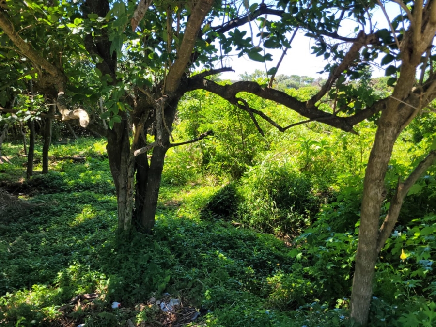 Commercial Property for Sale in Hibberdene KwaZulu-Natal