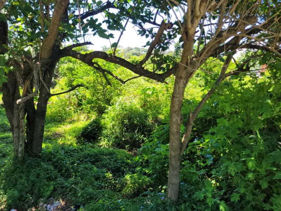 Commercial Property for Sale in Hibberdene KwaZulu-Natal