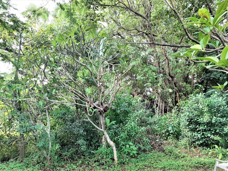 Commercial Property for Sale in Port Edward KwaZulu-Natal