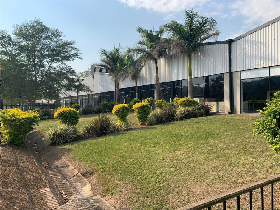 To Let commercial Property for Rent in Pietermaritzburg Central KwaZulu-Natal