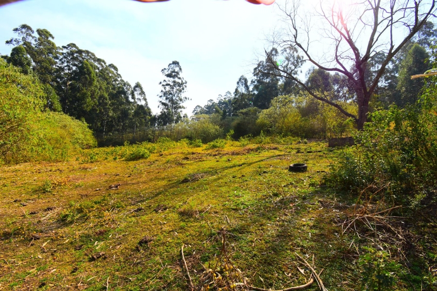 0 Bedroom Property for Sale in Town Bush Valley KwaZulu-Natal