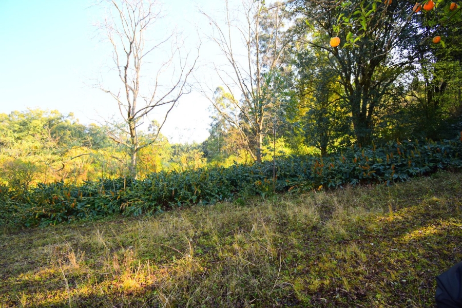 0 Bedroom Property for Sale in Town Bush Valley KwaZulu-Natal