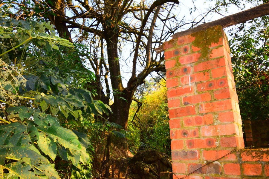 0 Bedroom Property for Sale in Town Bush Valley KwaZulu-Natal