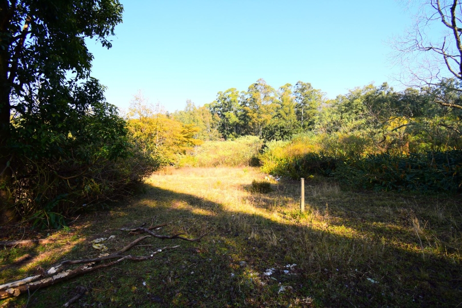 0 Bedroom Property for Sale in Town Bush Valley KwaZulu-Natal