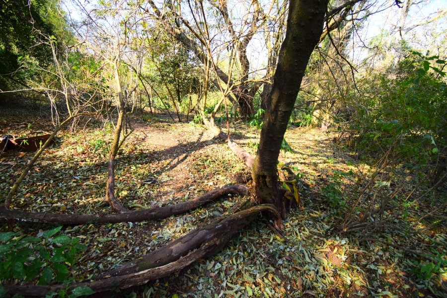 0 Bedroom Property for Sale in Town Bush Valley KwaZulu-Natal