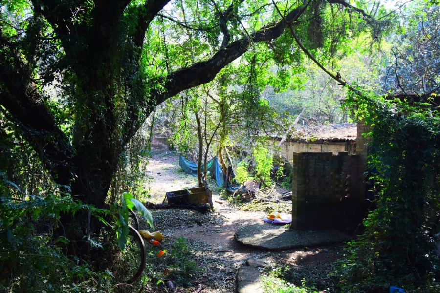 0 Bedroom Property for Sale in Town Bush Valley KwaZulu-Natal