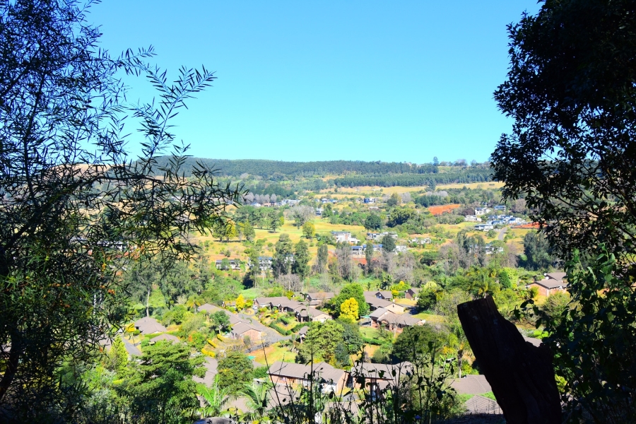 0 Bedroom Property for Sale in Town Bush Valley KwaZulu-Natal