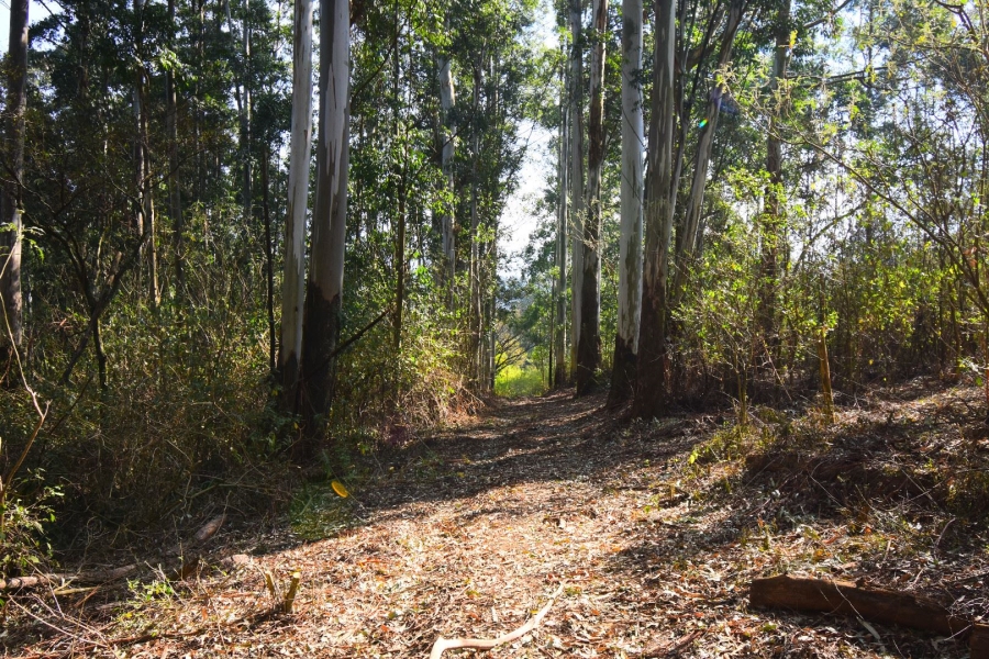 0 Bedroom Property for Sale in Town Bush Valley KwaZulu-Natal