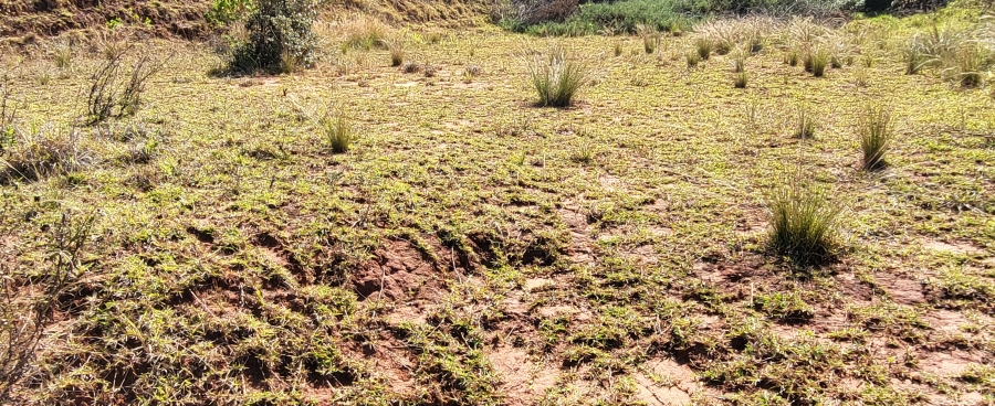 0 Bedroom Property for Sale in Simbithi Eco Estate KwaZulu-Natal