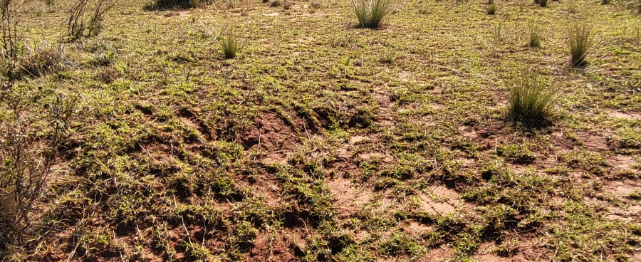 0 Bedroom Property for Sale in Simbithi Eco Estate KwaZulu-Natal