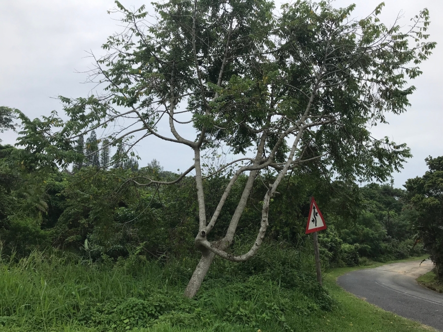 0 Bedroom Property for Sale in Bazley Beach KwaZulu-Natal