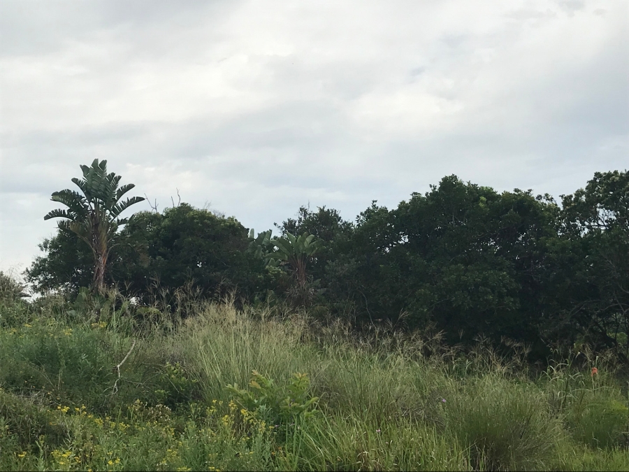 0 Bedroom Property for Sale in Bazley Beach KwaZulu-Natal