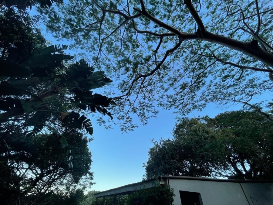 5 Bedroom Property for Sale in Zinkwazi Beach KwaZulu-Natal