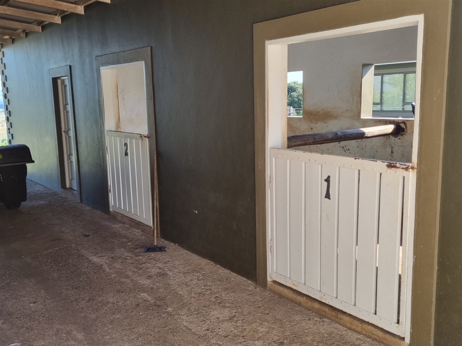 4 Bedroom Property for Sale in Darnall KwaZulu-Natal
