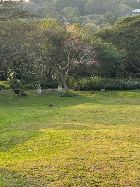 0 Bedroom Property for Sale in Prince