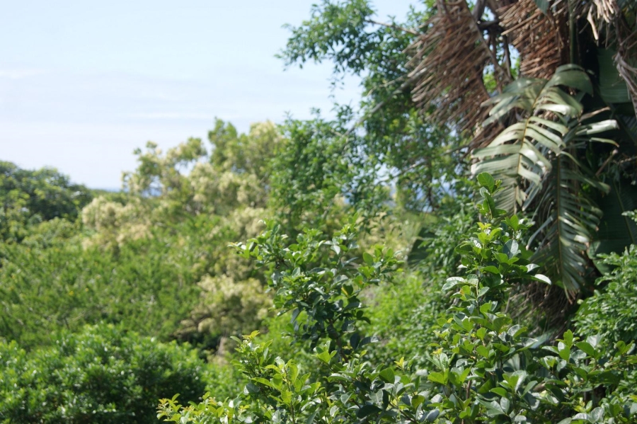 0 Bedroom Property for Sale in Prince