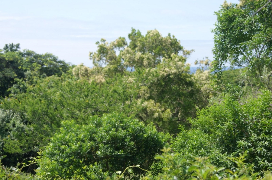 0 Bedroom Property for Sale in Prince