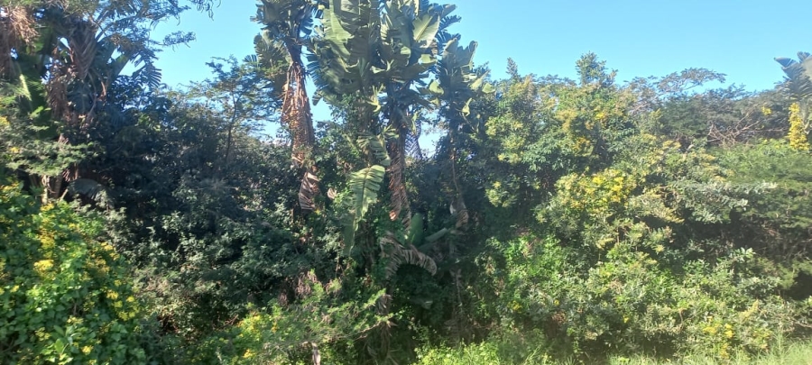 0 Bedroom Property for Sale in Prince