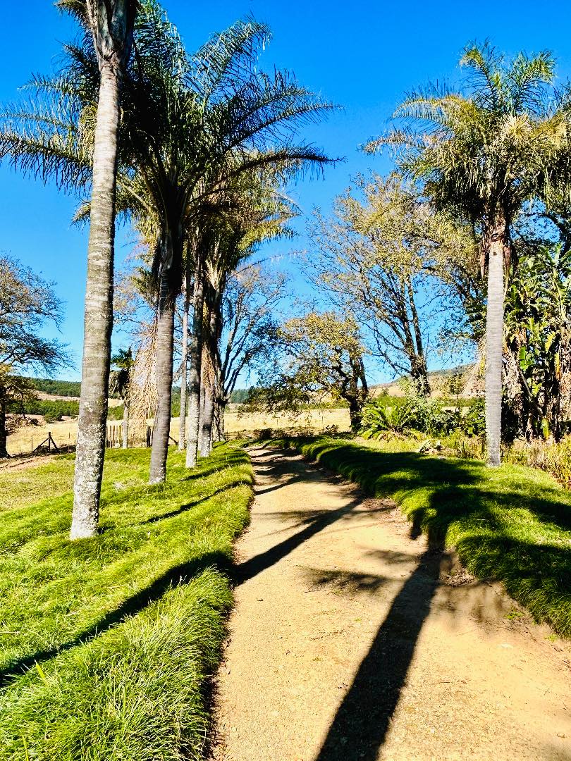 7 Bedroom Property for Sale in Vryheid KwaZulu-Natal