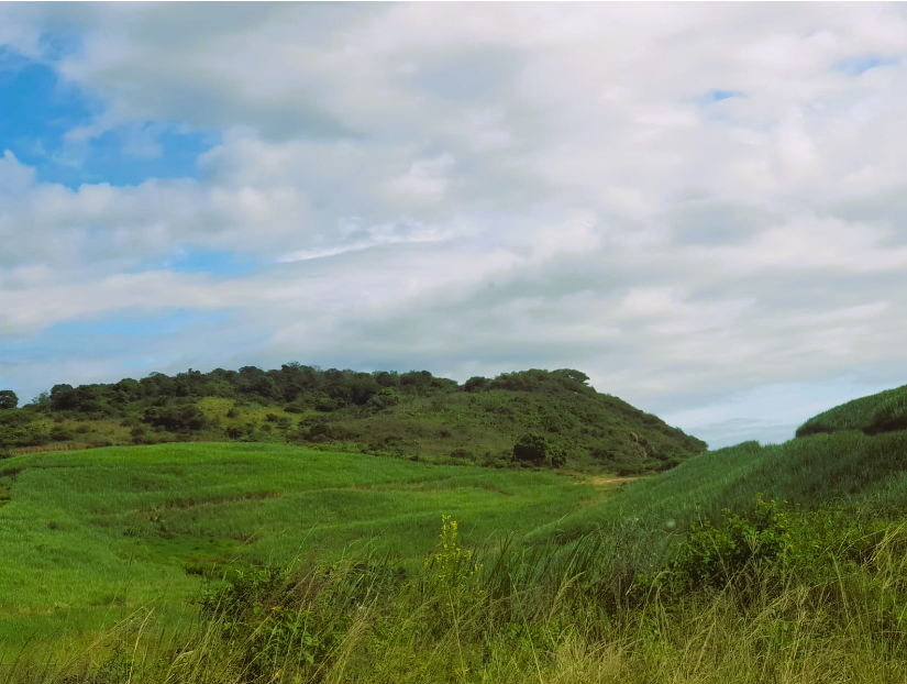 0 Bedroom Property for Sale in Port Shepstone KwaZulu-Natal