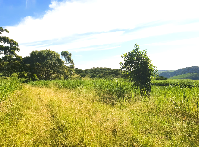 0 Bedroom Property for Sale in Port Shepstone KwaZulu-Natal