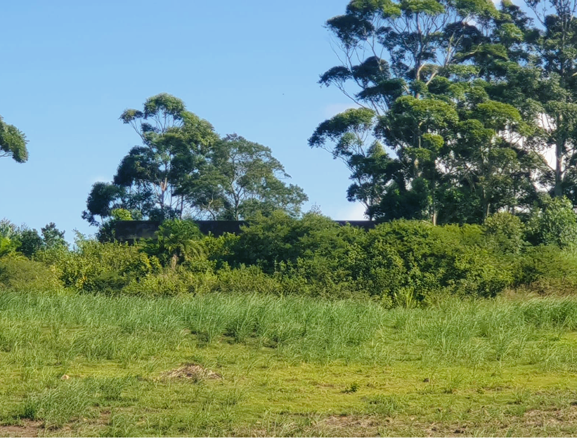 0 Bedroom Property for Sale in Port Shepstone KwaZulu-Natal