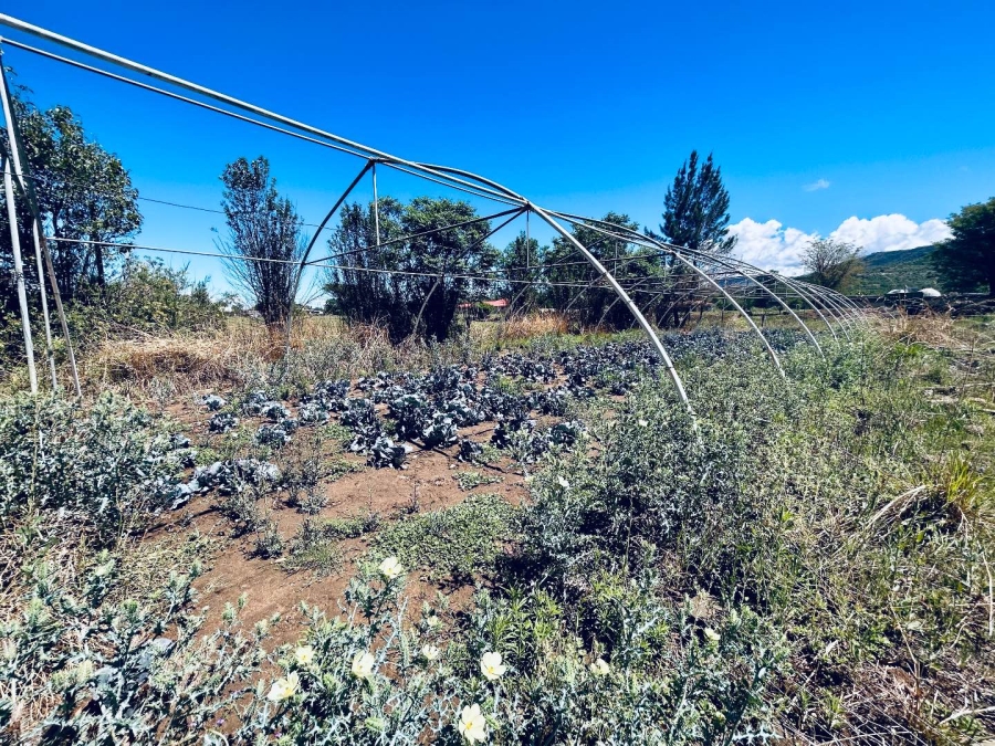 0 Bedroom Property for Sale in Utrecht KwaZulu-Natal