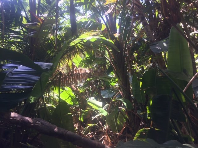 Commercial Property for Sale in Leisure Bay KwaZulu-Natal