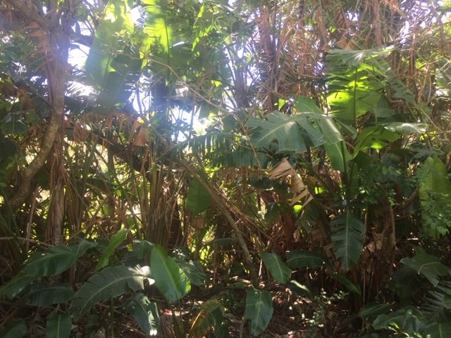 Commercial Property for Sale in Leisure Bay KwaZulu-Natal