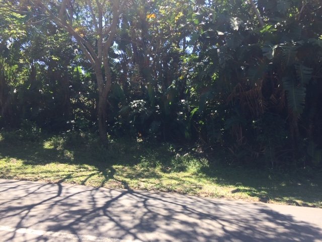 Commercial Property for Sale in Leisure Bay KwaZulu-Natal