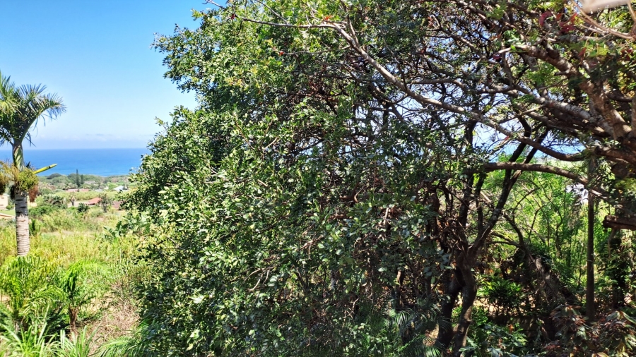 4 Bedroom Property for Sale in Port Edward KwaZulu-Natal