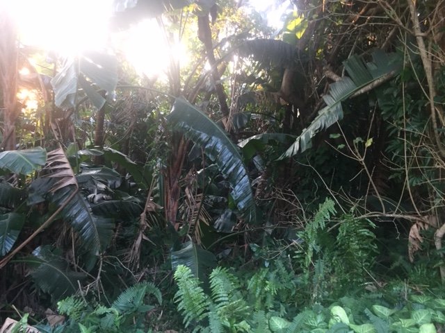 Commercial Property for Sale in Southbroom KwaZulu-Natal