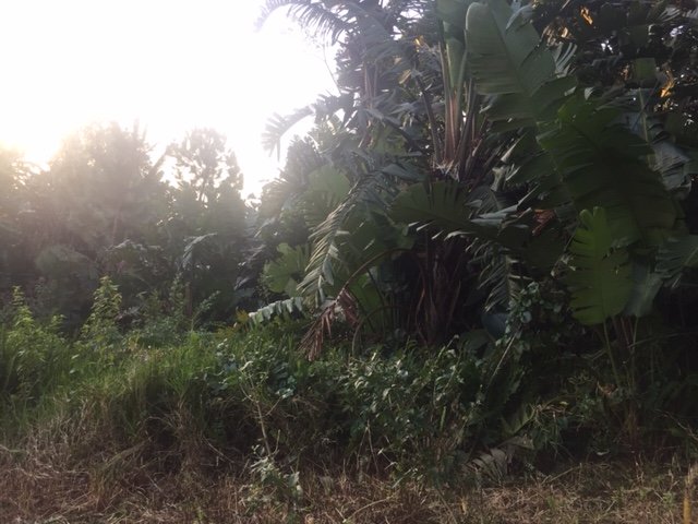 Commercial Property for Sale in Southbroom KwaZulu-Natal